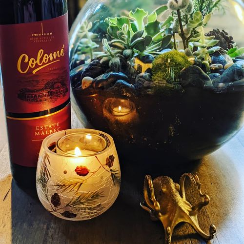 Customer photo review of Octopus Holder | Bronze