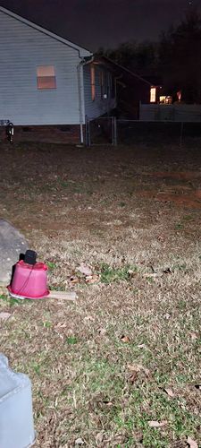 Customer photo review of Dog Silencer® MAX