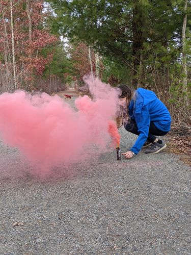 Customer photo review of Single Vent Smoke Grenades (90 Sec)