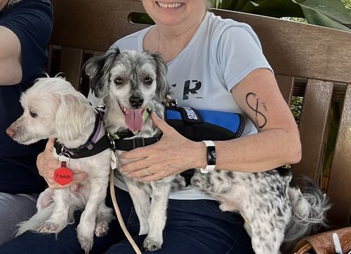 Customer photo review of Fetch Digital Pet ID