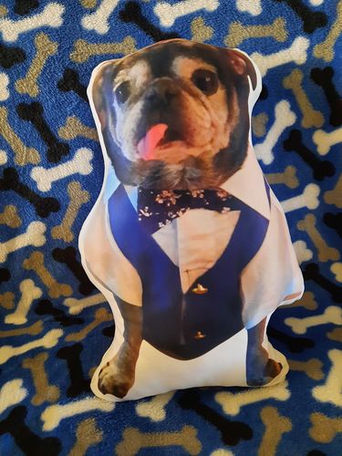 Customer photo review of Create A Custom Dog Pillow
