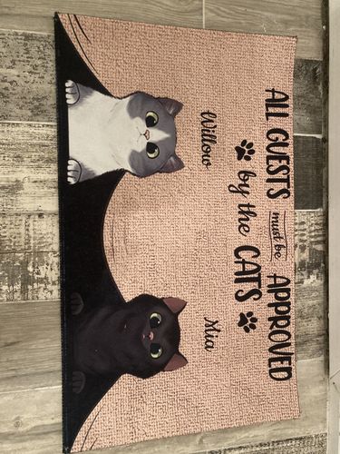 Customer photo review of All Guests Must Be Approved By The Cat Custom Doormat