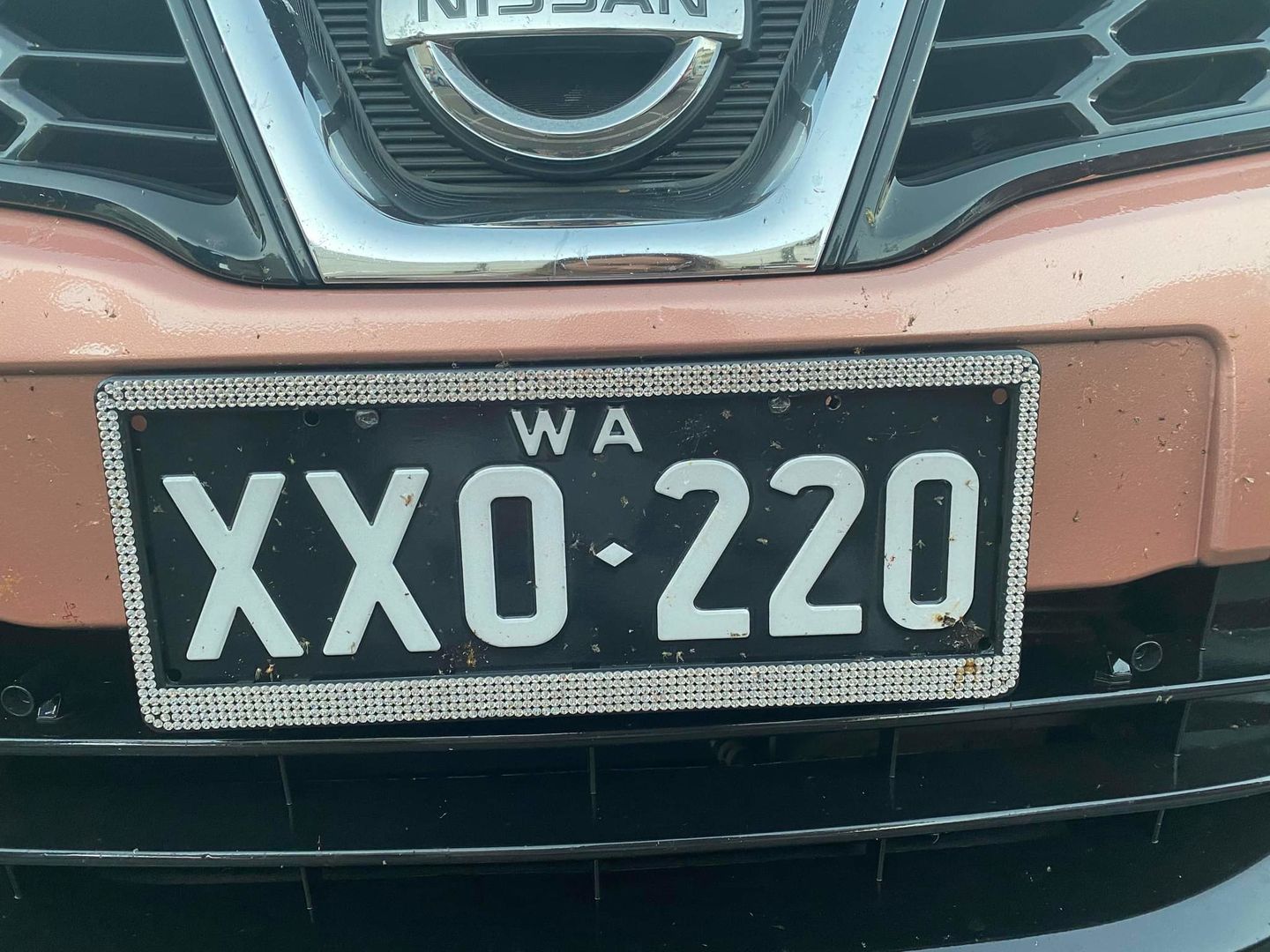 Customer photo review of Bling Number Plate Frames
