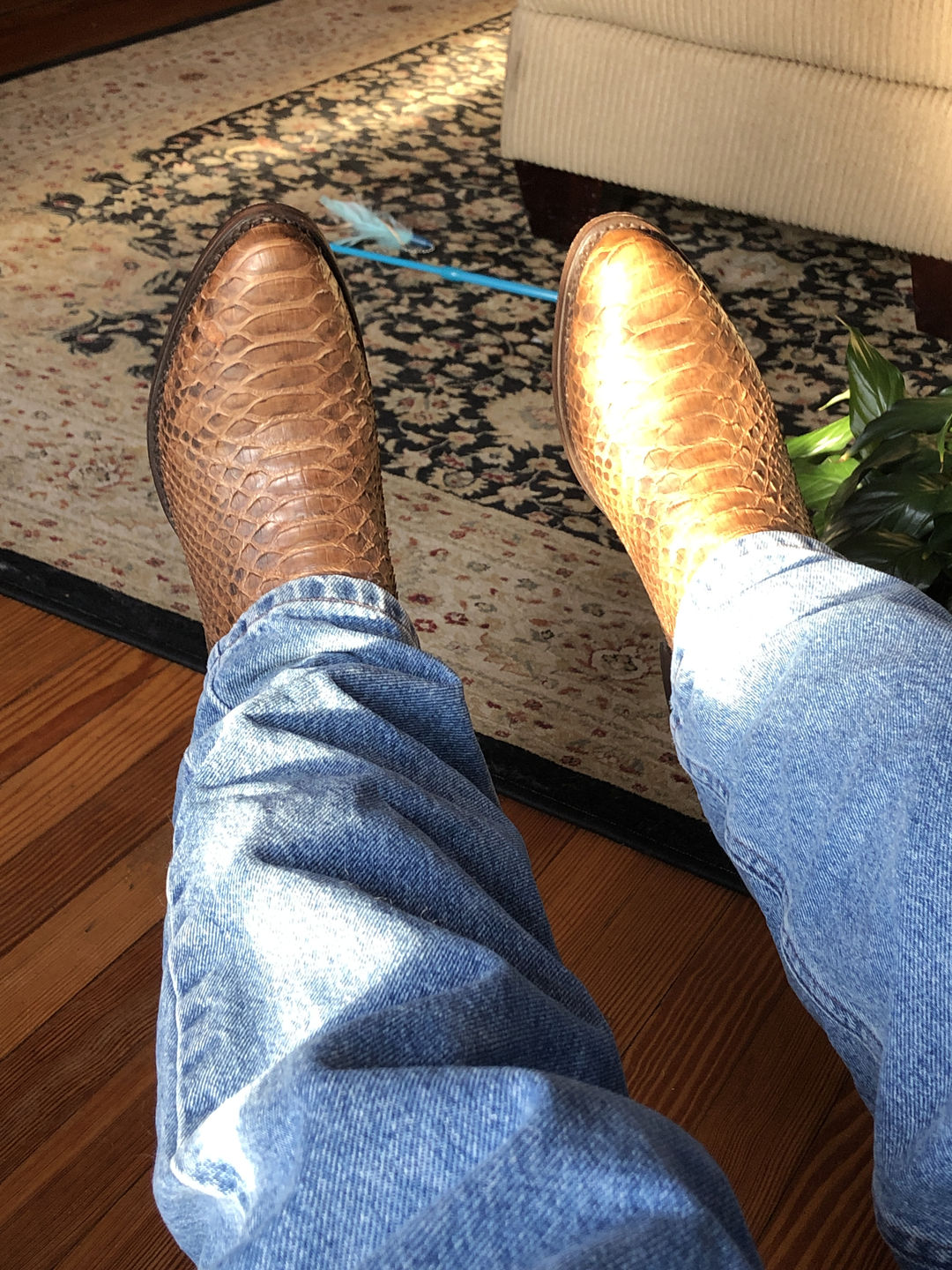 Customer photo review of Men's Manning Python Western Boots