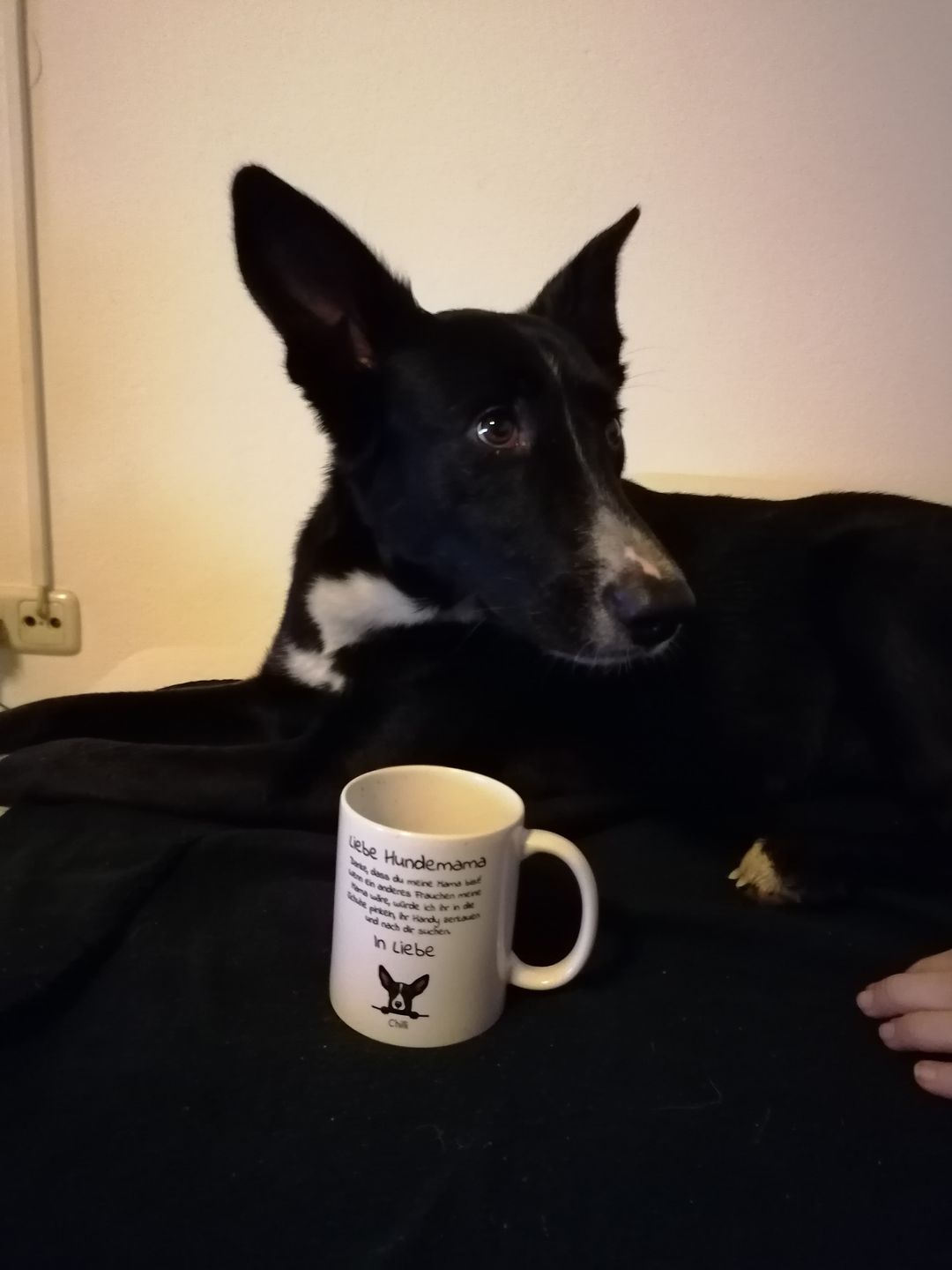 Customer photo review of Liebe Hundemama - Individuelle Tasse