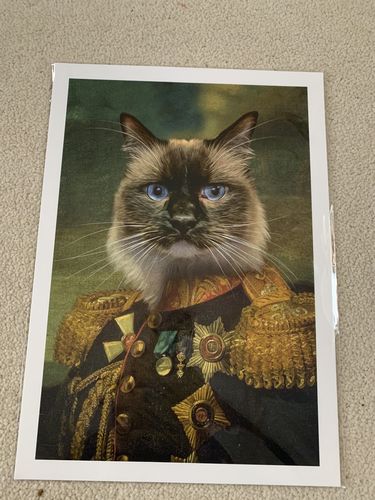 Customer photo review of The General - Custom Vintage Pet Portrait