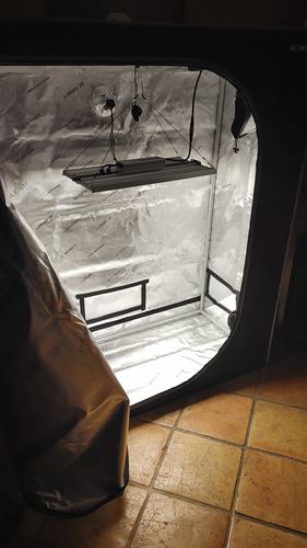 Customer photo review of Led Grow Light Indoor Dimming Grow lights For 4X4ft Tent Sayhon SH2000