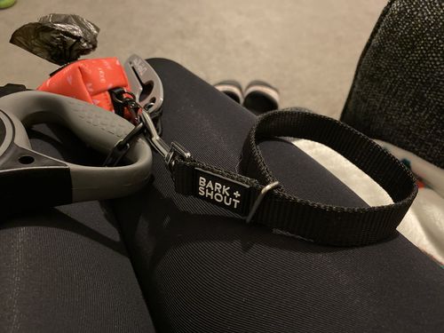 Customer photo review of LEAD SAFETY STRAP