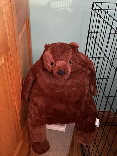 Customer photo review of SKOGGY BEAR