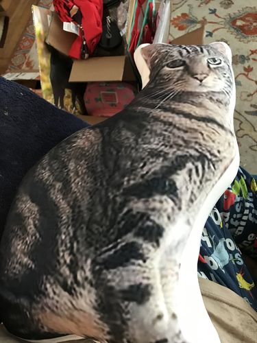 Customer photo review of Create A Custom Cat Pillow
