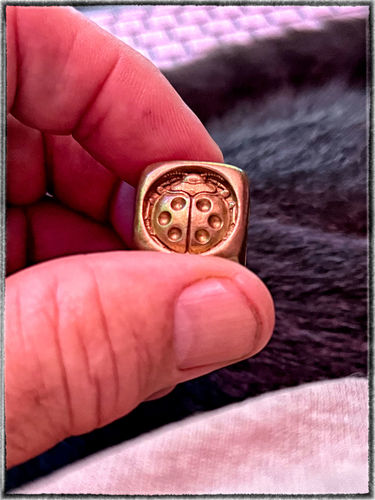 Customer photo review of Ladybug Dice｜Brass/ Copper