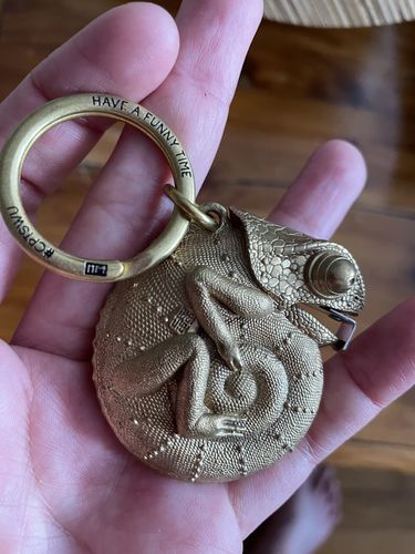 Customer photo review of Chameleon Tape Measure | Brass