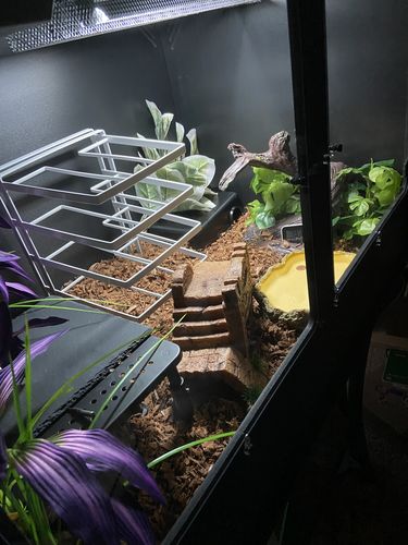 Customer photo review of XA3-BIO24 (36Lx24Hx24D) - STACKABLE