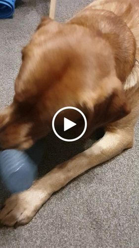 Customer video review of The Fenrir Hammer