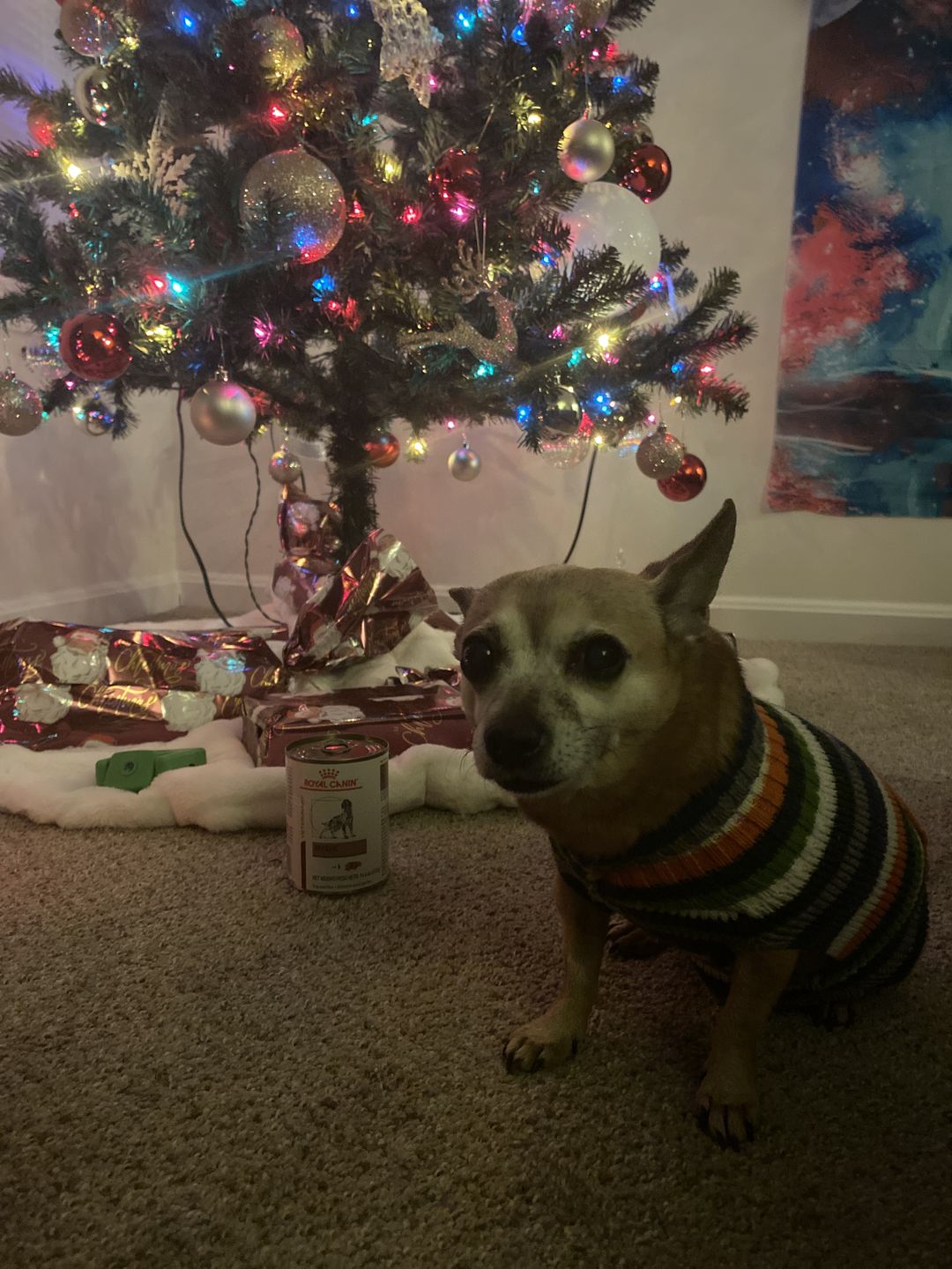 Customer photo review of Royal Canin Veterinary Diet - Hepatic. Canned Dog Food.