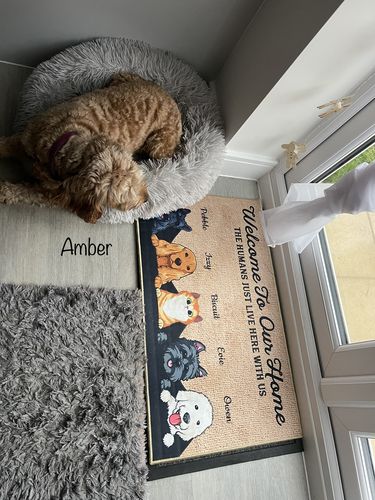 Customer photo review of Welcome To Our Home Custom Doormat
