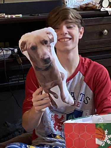 Customer photo review of Create A Custom Dog Pillow