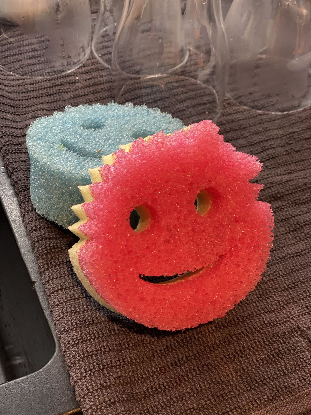 Customer photo review of Scrub Daddy Colours 4 Pack