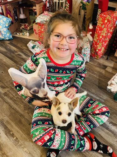 Customer photo review of Create A Custom Dog Pillow