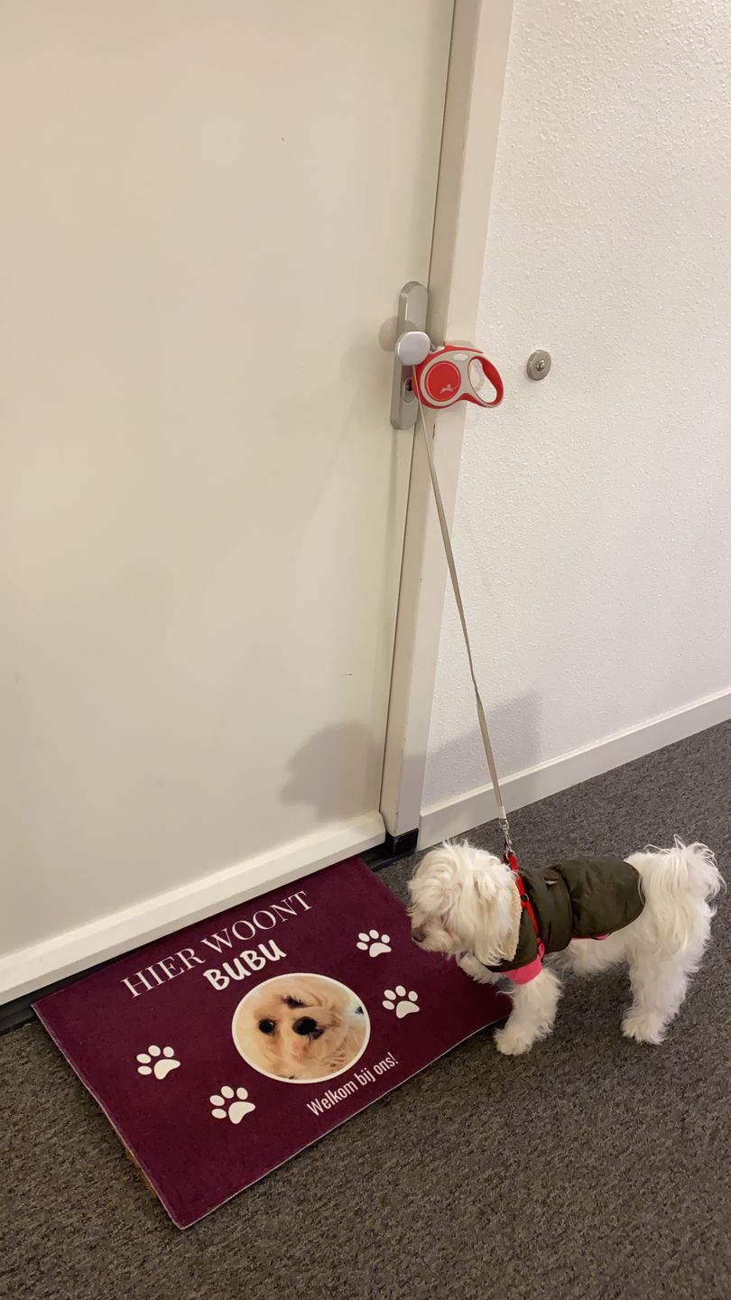 Customer photo review of Hier woont - Gepersonaliseerde huisdier deurmat