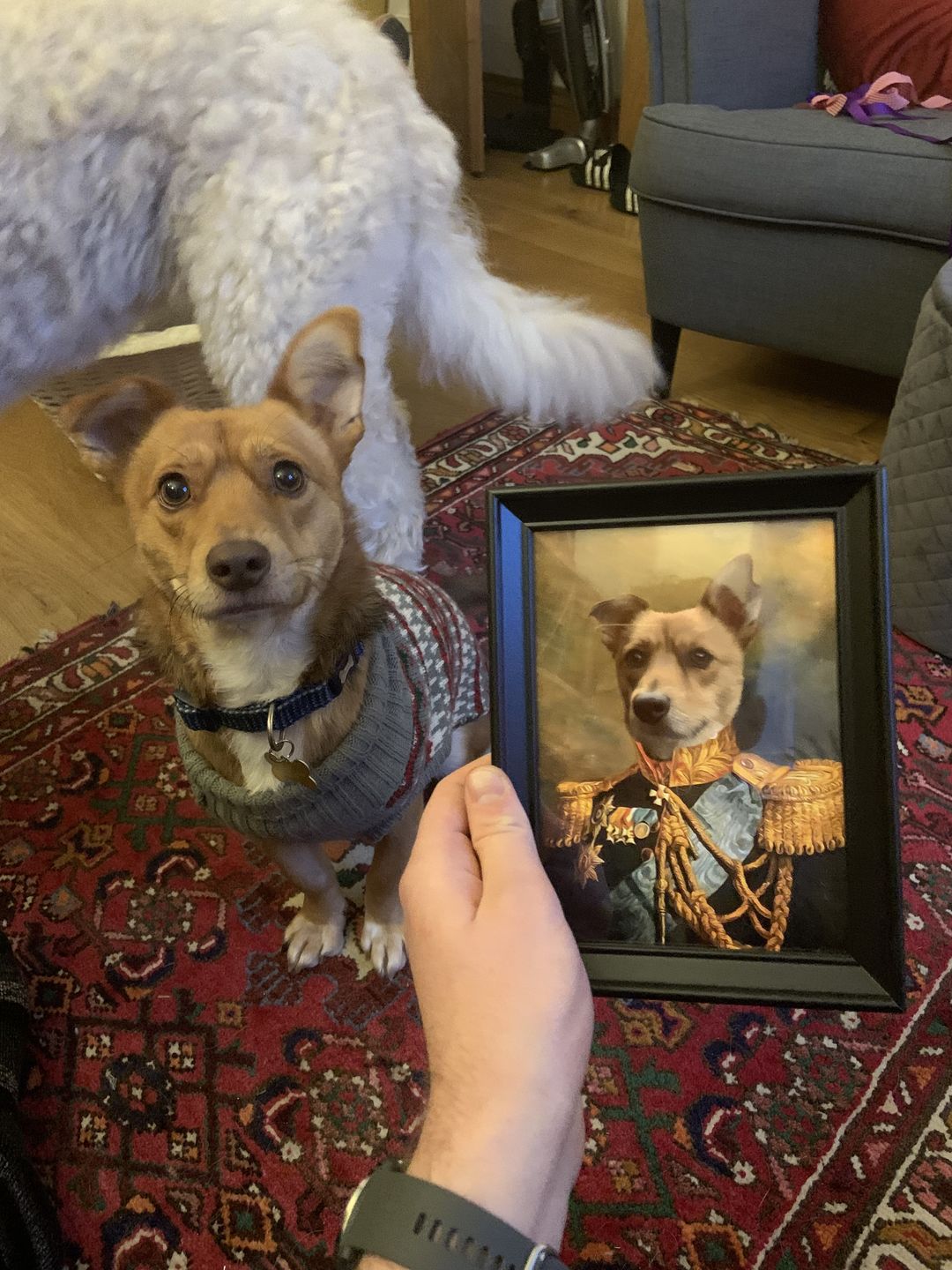 Customer photo review of The Veteran: Custom Pet Portrait
