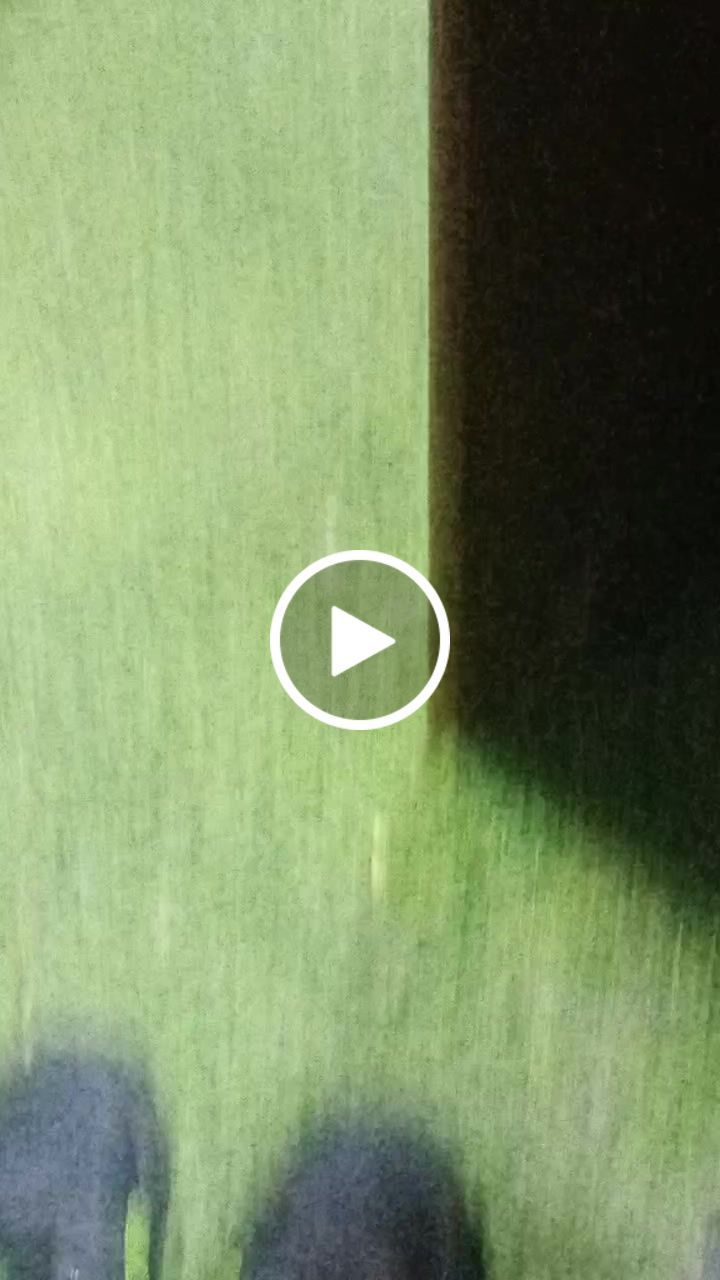 Customer video review of Bacca Bucci Wager