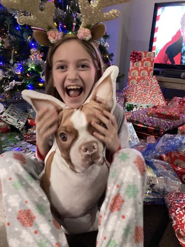 Customer photo review of Create A Custom Dog Pillow