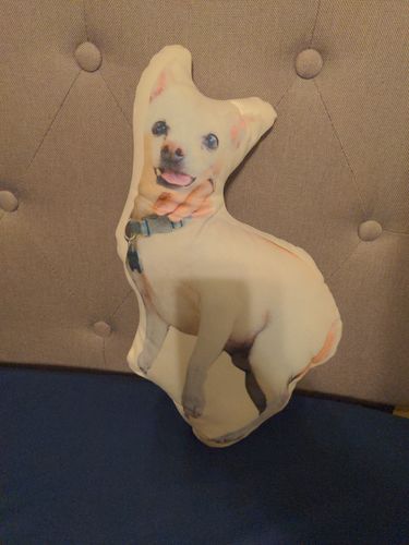 Customer photo review of Create A Custom Dog Pillow