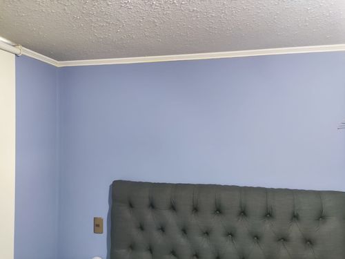Reseña con foto de un cliente sobre Lanco Látex Interior Express (Disponible En Múltiples Colores)