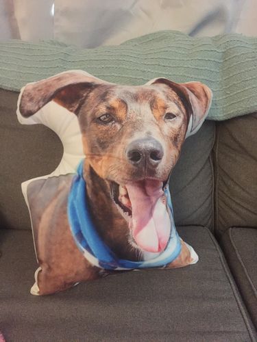 Customer photo review of Create A Custom Dog Pillow