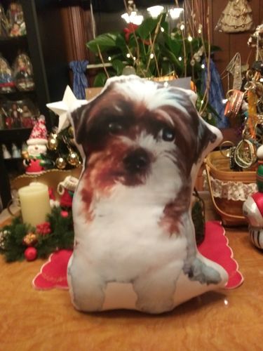 Customer photo review of Create A Custom Dog Pillow