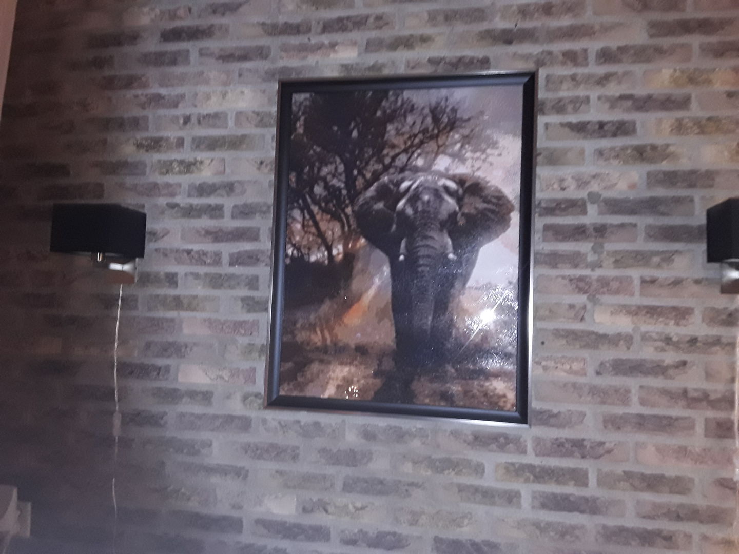 Customer photo review of Olifant