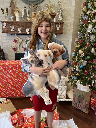 Customer photo review of Create A Custom Dog Pillow