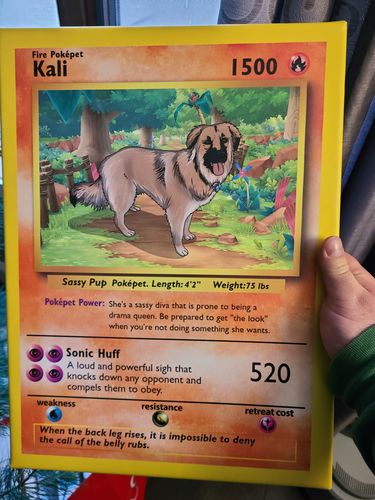 Customer photo review of Pokepet