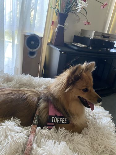Customer photo review of Custom Name Patch