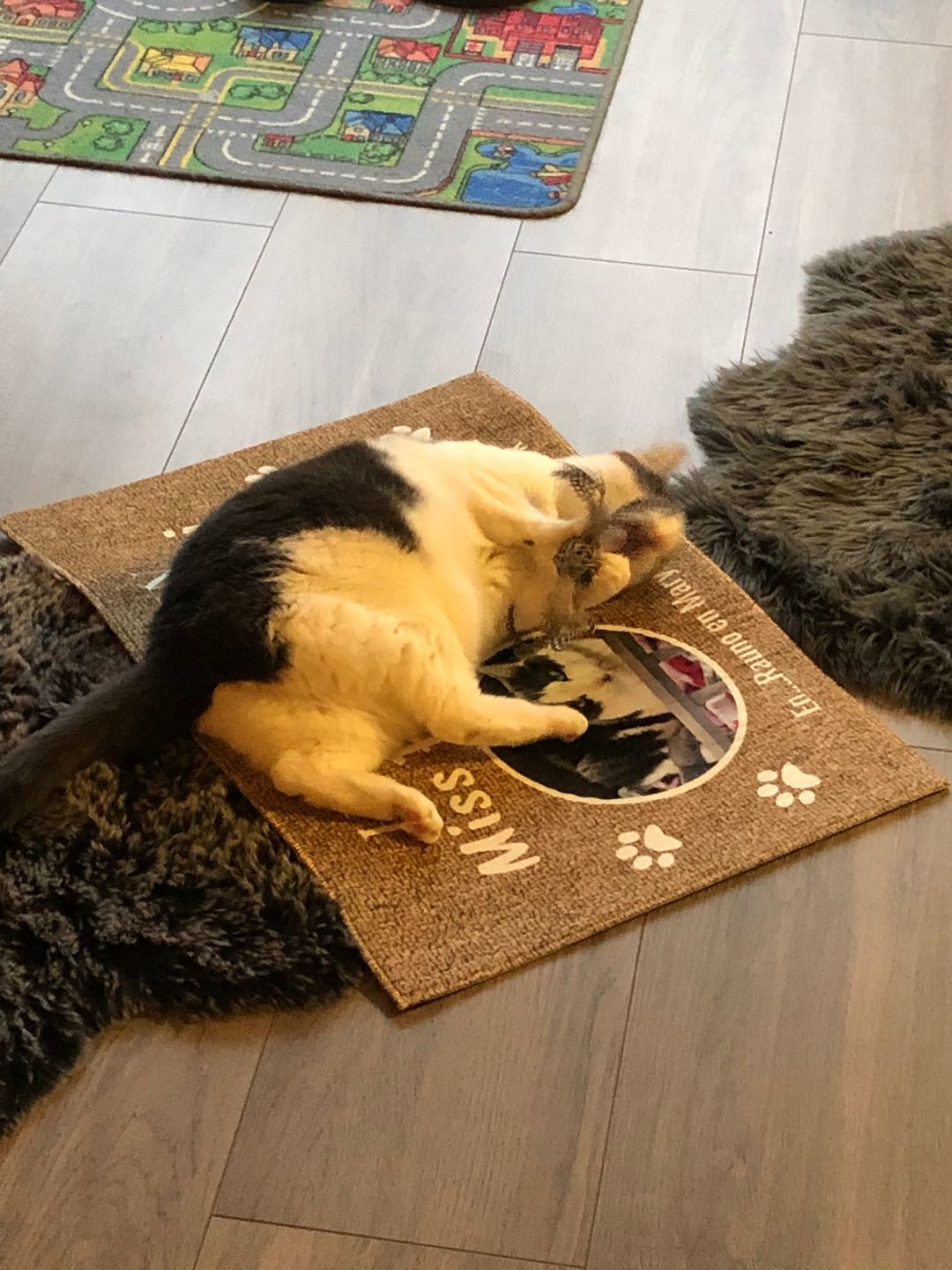 Customer photo review of Hier woont - Gepersonaliseerde huisdier deurmat
