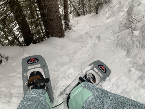 Customer photo review of J.B. Field's Icelandic "30 Below Over-the-Calf" Merino Wool Thermal Sock