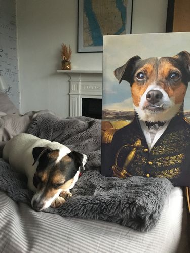Customer photo review of The Commodore - Custom Pet Canvas