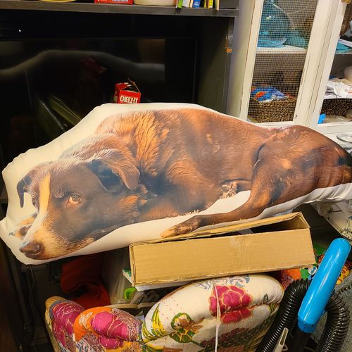 Customer photo review of Create A Custom Dog Pillow