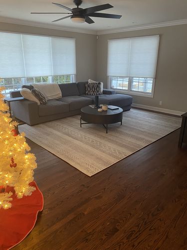 Customer photo review of Mojave Lines Desert Beige Rug