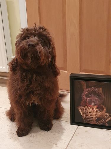 Customer photo review of The Colonel: Custom Pet Canvas