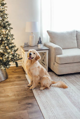 Customer photo review of Mojave Lines Desert Beige Rug