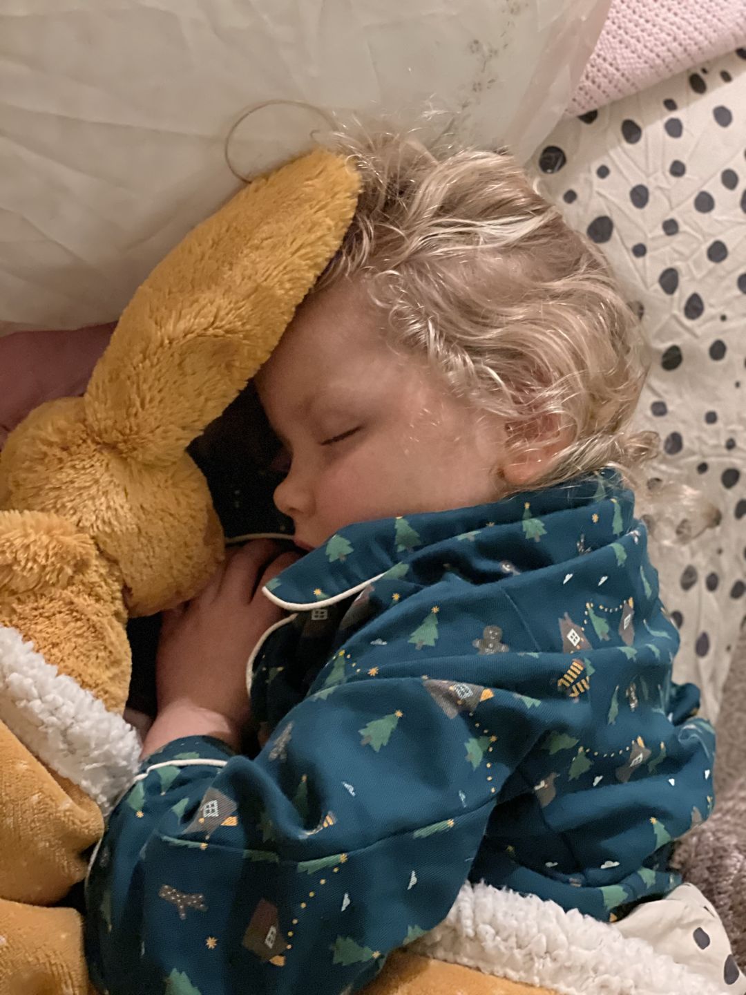 Customer photo review of A Winter's Walk Classic Pyjamas