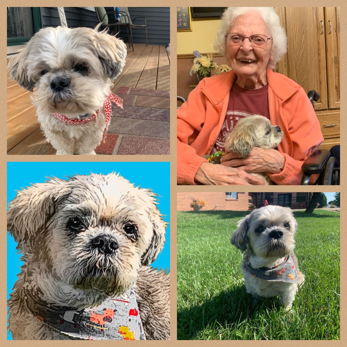 Customer photo review of Custom Pet Art Women's Crew