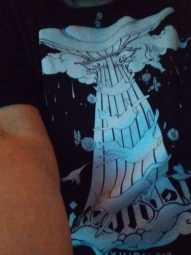 Customer photo review of Cat Phases, Unisex T-Shirt, Black Or White