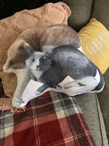 Customer photo review of Create A Custom Object Pillow