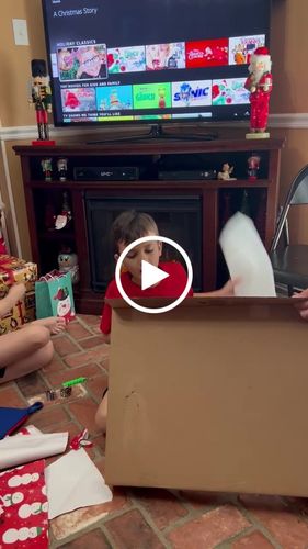 Customer video review of Dino Forest