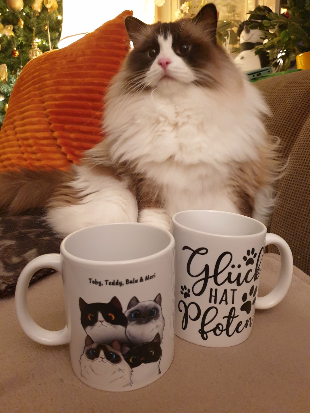 Customer photo review of Neugierige Katzen - Individuelle Tasse