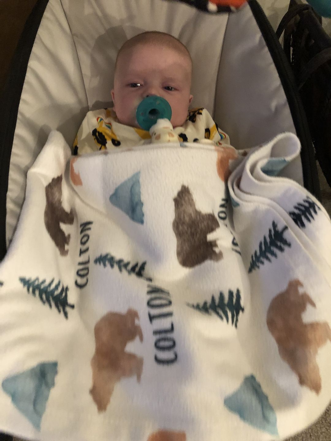 Customer photo review of Bears and Mountains Personalized Baby Blanket