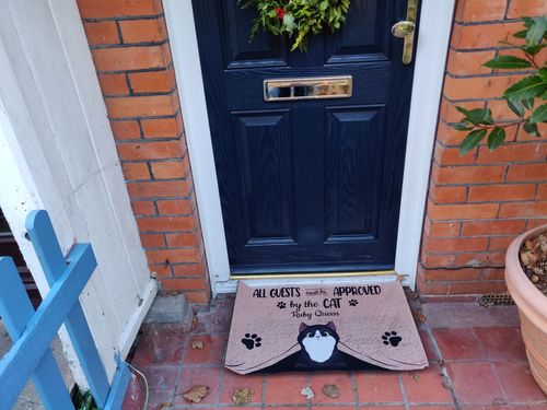 Customer photo review of All Guests Must Be Approved By The Cat Custom Doormat